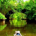 Gabimi të cilin e bëjmë të gjithë