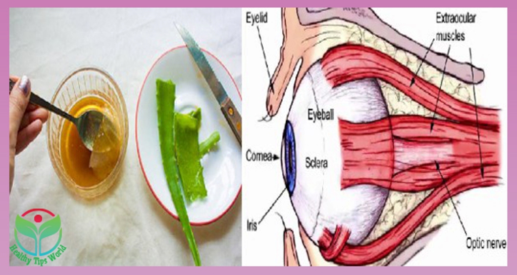 “Bima e pavdekshmërisë” që e keni në shtëpitë tuaja. Ja të mirat që i sjell shëndetit