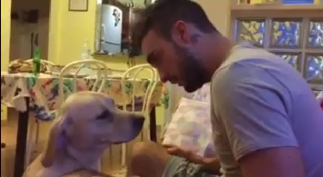 Qeni i kërkon falje pronarit, videoja bëhet hit në internet (VIDEO)