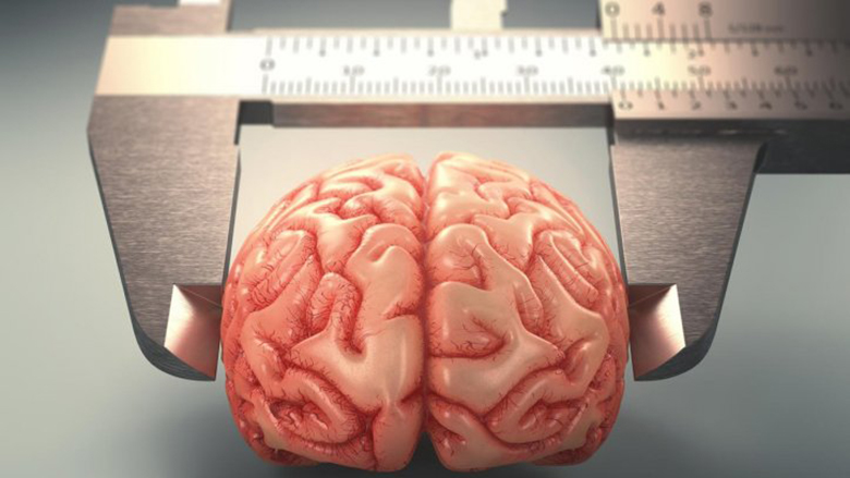 Këto janë gjërat që duhet t’i bëni për të parandaluar sulmin në tru