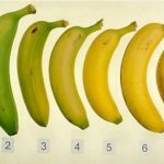 E keni besuar gabim, momenti i duhur kur duhet t’i hidhni bananet