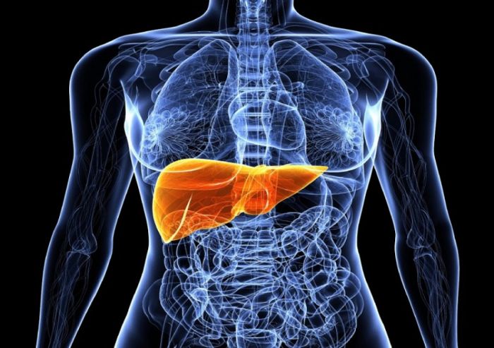 Receta që mjeku nuk ua tregon: Mëlçia do të jetë si e re dhe do të dukeni 10 vjet më të rinj