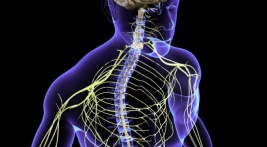 Shkencëtarët zgjojnë njeriun që kishte 15 vjet në koma