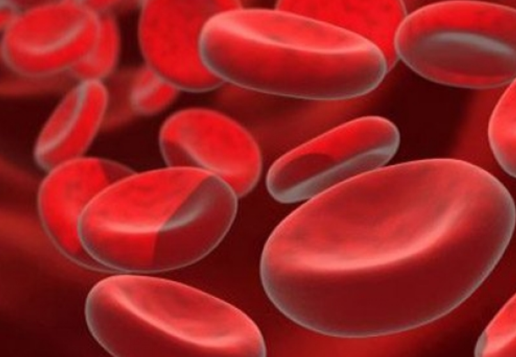 Mësoni sa të rrezikuar jeni nga sëmundjet sipas grupit të gjakut