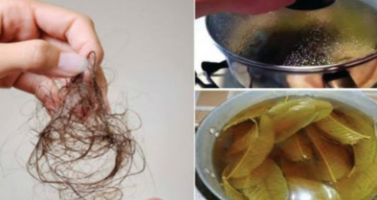 Si të ndaloni përfundimisht rënien e flokëve