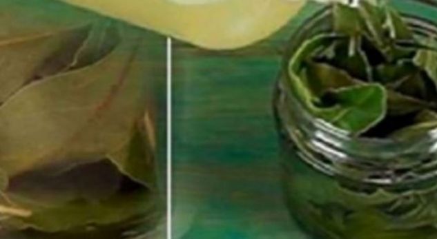 Quhet gjethja e ‘Zotit’ sepse shëron disa sëmundje