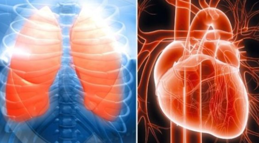 Ora kineze nuk gabon: Zbulojeni shpejt cili organ nuk iu punon mirë!