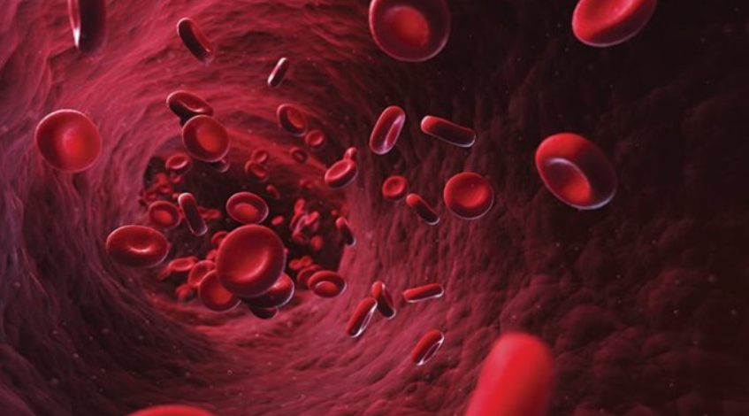 I thoni lamtumirë anemisë me këtë përzierje natyrale