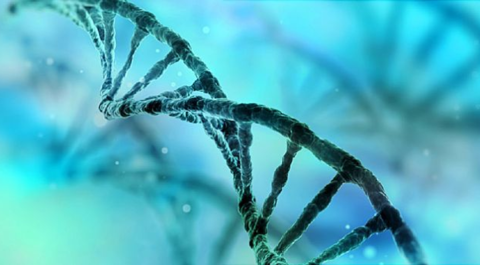 Italianët zbulojnë “motorin” e kancerit