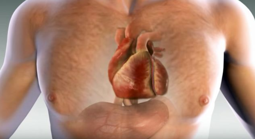 Një muaj para sulmit në zemër, trupi do t’ju paralajmërojë juve. Këto janë 3 shenjat