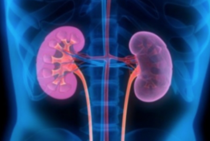 Mjekët u’a fshehin këtë! Ja si t’i pastroni veshkat shpejt dhe pa ilaçe