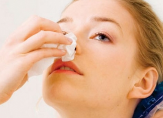 Ju del gjak nga hundët? Përse duhet të frikësoheni