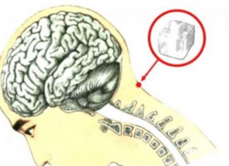 Vendosni një copë akulli në qafën tuaj dhe shikoni çfarë mrekullie ndodh