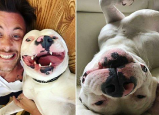 Qeni buzëqeshë nga gëzimi që dikush e adoptoi