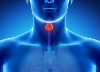 Ilaçin e tiroides e keni në shtëpi, thjesht nuk e keni ditur