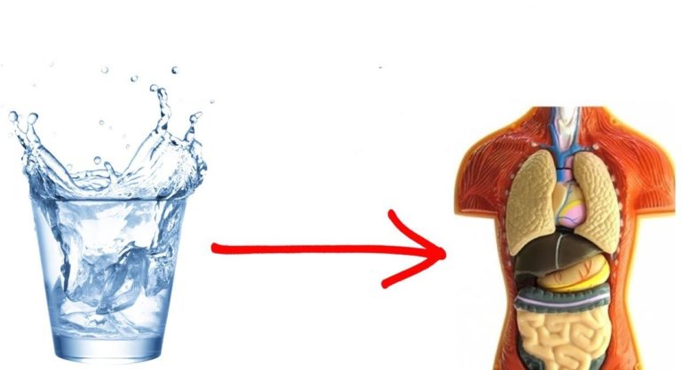 Ja Çfarë ju Ndodh Nëse i Zëvendësoni të Gjitha Pijet me Ujin