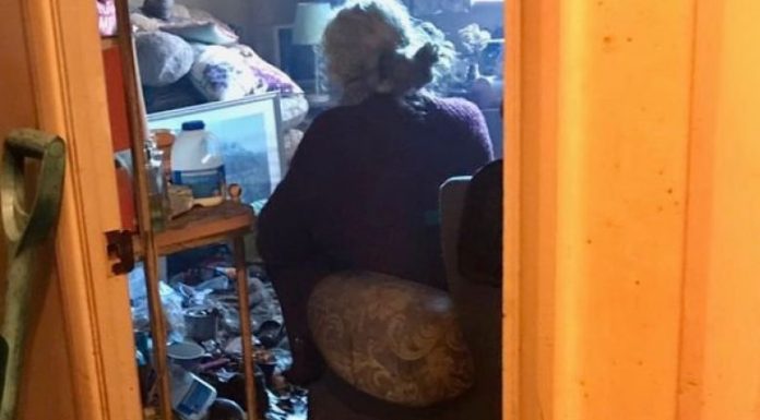 Jetonte-foto-780x439