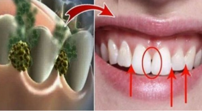 auto_Screenshot_241521828768