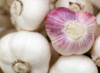 Të gjithë hani hudhra, por nuk e dini se çfarë i shkakton zemrës tuaj