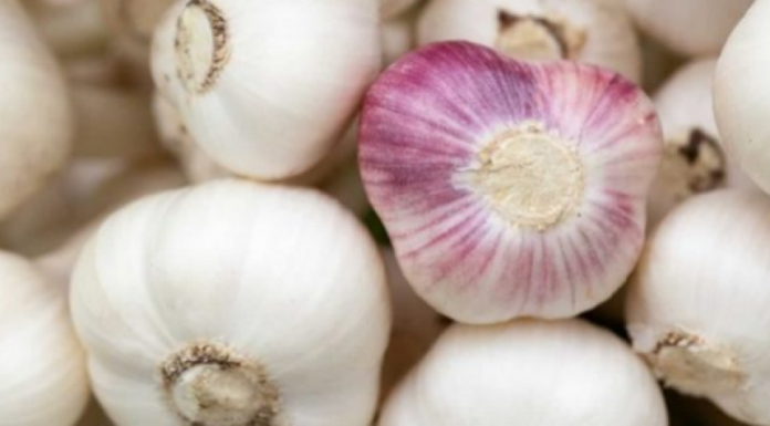 auto_Screenshot_51520265270