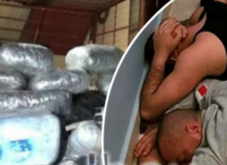 U arrestua në Turqi, baroni shqiptar trafikonte llojin më të shtrenjtë të hashashit