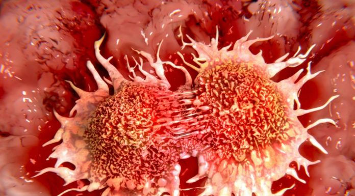 cancer-cells-dividing