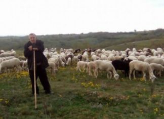 Kosovari i cili përjetoi tragjedi të rëndë, por sot është model i suksesit