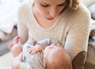 Të qenit nënë është e barabartë me të qenit e punësuar në gati tri vende pune njëkohësisht