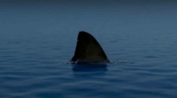 auto-capture-7802987