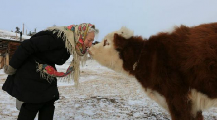 gruja_1524297077-780