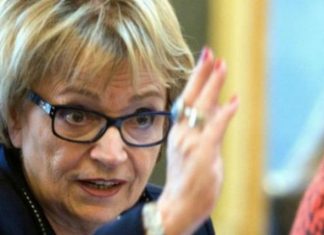 Sherr “shqiptar” për deputetin e Merkel, Pack shpërthen kundër Ramës: Je i shitur!