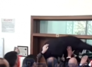 I moshuari hypën sipër njerëzve për të hyrë në gjykatë, pamje që të rrëqethin mishin (VIDEO)