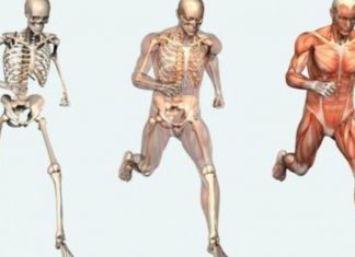 10 fakte interesante që nuk i keni ditur për trupin