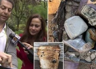 Duke punuar kopshtin, çifti gjen kasafortën me mijëra dollarë e stoli ari