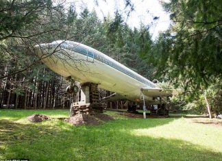 Inxhinieri që e shndërroi në shtëpi aeroplanin gjigand, pagoi 220 mijë dollarë për ta çuar nga Greqia në SHBA (VIDEO)