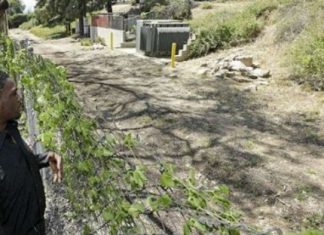 E groposën kur ishte foshnje, viziton varrin e tij 20 vite më pas