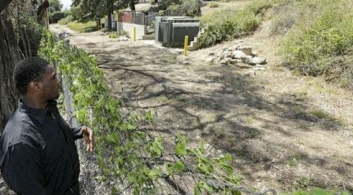 capture_1527416798-780