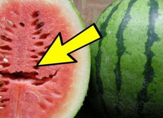 Nëse e gjeni këtë vijën ndarëse në shalqin nuk huhet ta hani, ja arsyeja