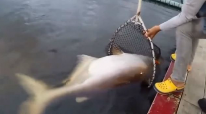 screenshot-1-7-650x358