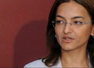 Ish ministrja Jankullovska bëhet nënë, ka lindur djalë, ja si e quajti