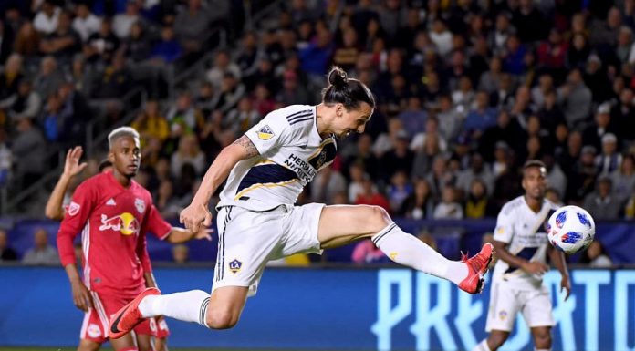 ibrahimovic_1072265122928802_8040557559867768832_n