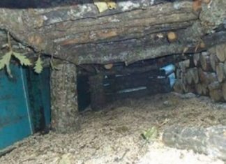 Shkoi të blinte dru për dimër, por u mashtrua dhe ja çfarë i sollën në vend të tyre (FOTO)