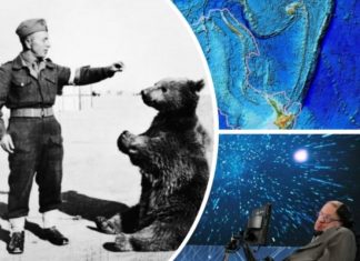 Mos kërkoni kot në Google, këto janë faktet më të pabesueshme janë të vërteta