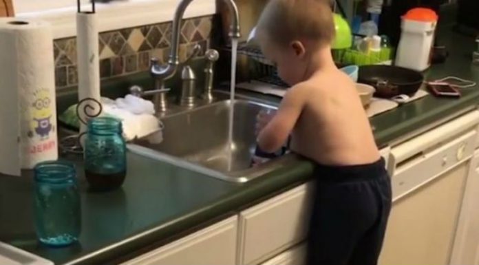 femija-2_1532332220-7044094