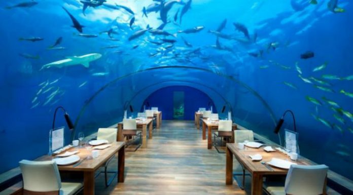 nenujore-cmsv2-fa6d5883-1181-5df8-a367-bf0431a84060-3141129_1532262692-7909039