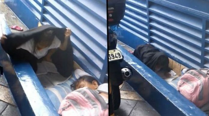 pastrehe40a8824c51b27038134b_800_420-650x358