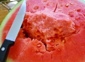 A e keni ditur arsyen se përse zemra e shalqirit është më e mirë?