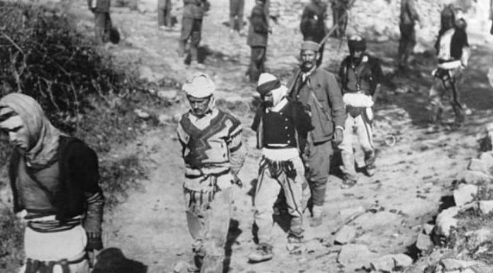 shqiptaret_1530949221-8388007