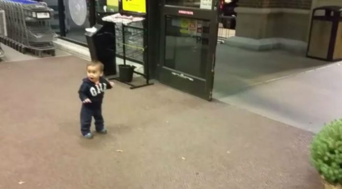 vogelushi-8_1532346398-3459020