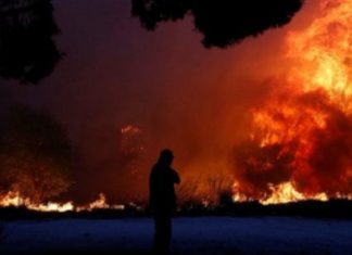Zjarret kaplojnë Maqedoninë, dyshohet për zjarr vënie të qëllimshme